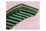 Polymax V- Belts